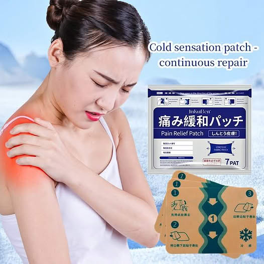( 2 packet 14 Pcs ) Japanese Back Pain Relief Patches